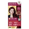 Elastine Salon de Color & Gray Hair Dyeing Cream, Wine Brown, 1 Piece / 엘라스틴 살롱 드 컬러 앤 새치 염색 크림, 와인브라운, 1개