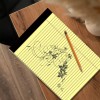 Unbranded Legal Pads 8.5 X 11 Note Pads Wide Ruled