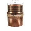 Libra Supply 1/2 inch(Nominal Size) Copper Male Adapter Solder Joint,