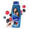 Caprice Shampoo Frutos + Agua De Coco Aroma Duradero y