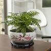 TOIVO Lotus Bowl Planter，White Ceramic Lotus Planter with Plastic Base