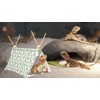 Bearded Dragon Tent Bed,Cactus Pattern Reptile Bearded Dragon cage/hides and