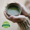 Té Matcha 100% Puro Premium Orgánico 250 Gramos