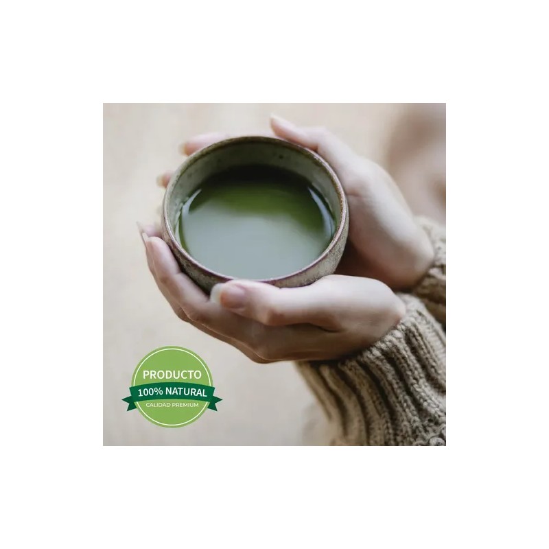 Té Matcha 100% Puro Premium Orgánico 250 Gramos
