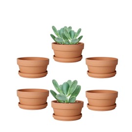 vensovo 5.7 Inch Terracotta Shallow Succulent Pot - 6 Pack Terra Cotta Clay Pots with Saucer, Cacuts Terra-Cotta Indoor and Outdoor Planters with Drainage Hole
