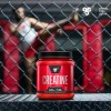 Creatina BSN DNA en Polvo, Monohidratada Pura de 309 g