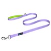 PHOEPET 5 Feet Dog Leash - Dual-Side Reflective - Soft