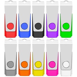 TEWENE USB Memory Stick 2GB USB Stick 2.0 Flash Drive 10-Pack,USB Thumb Drive Pen Drive,USB Storage with Key Ring and Sticker for Computers, Cars and TVs