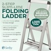 Step Ladder 2 Step Folding, Decorative - Modern Beautiful Silver