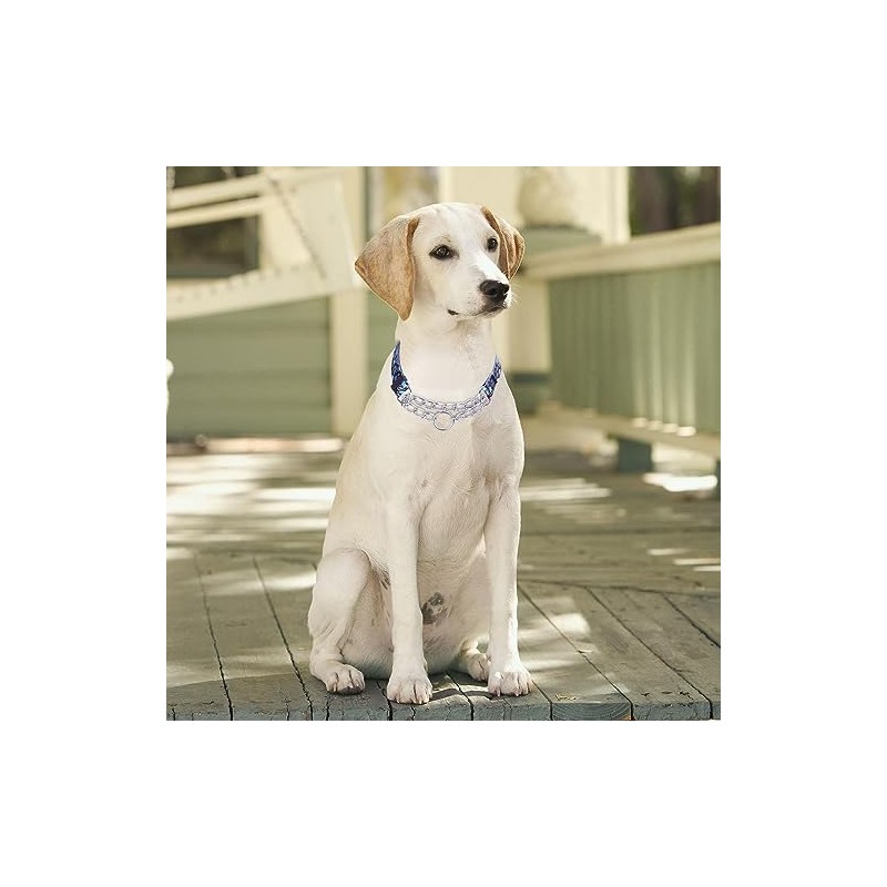 Serijoars Martingale Dog Collar with Steel Chain, Choke Collar -