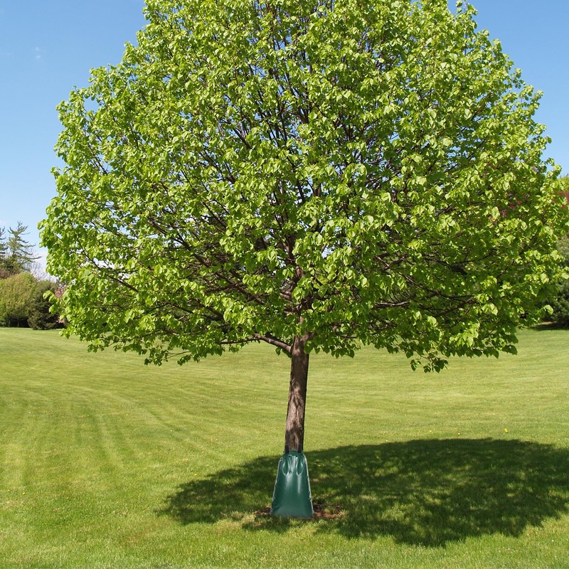 3 Pack Tree Watering Bags Slow Release 20 Gallon，Reusable Water