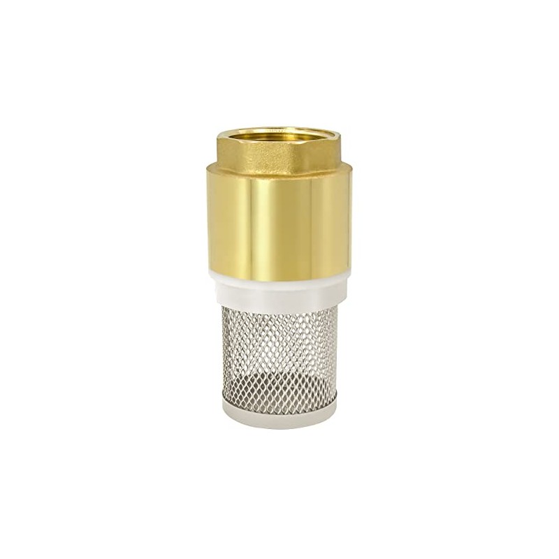 VARIOSAN Foot Valve 14146, 3/4 Inch Check Valve, Brass, Stainless