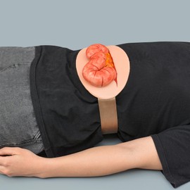MedEduQuest Eviscerated Intestine Simulator, Open Abdominal Wound Packing Trainer, Large Intestine Simulator for Wound Care Practice, Medical Education Tools