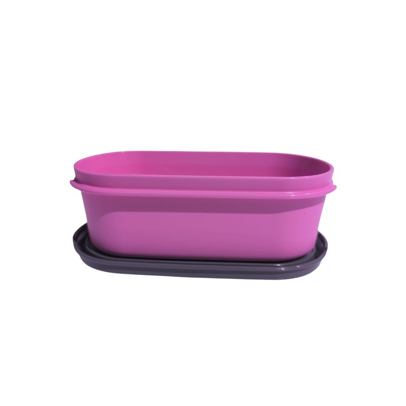 Tupperware Eidgenosse Oval Round Compact Container Storage Modular Fridge System