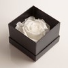 ROSEMARIE SCHULZ Heidelberg Eternal Rose for A Thank You Rose