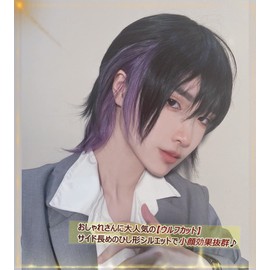 Wig, Men's Wolf, Inner Color, Wig, Short, Men's Clothing, Black, Natural, Harajuku, Handsome, Heat Resistant, Popular, Fluffy, Disguise, Unisex, Inner Purple, Free