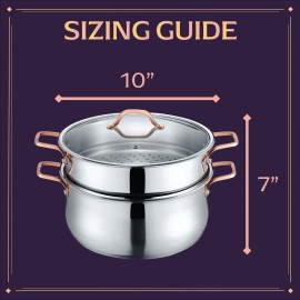 CONCORD Premium Stainless Steel 2 Tier Steamer w/Rose Gold Handles (22 cm)