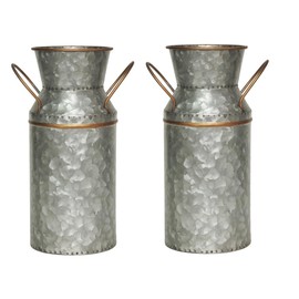 Hosley - Juego de 2 latas de leche galvanizada y dorada con forro de 23,5 cm de alto, añade encanto clásico a tu espacio con decoración rústica de granja y arreglos florales versátiles para el hogar