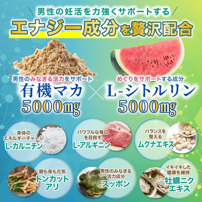 精活PLUS 妊活 サプリ 男性妊活サプリ マカ シトルリン 高配合 亜鉛 葉酸 特許成分