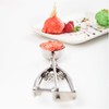 Faimex Ice Cream Scoop for Ice Cream Scoop, Stainless Steel