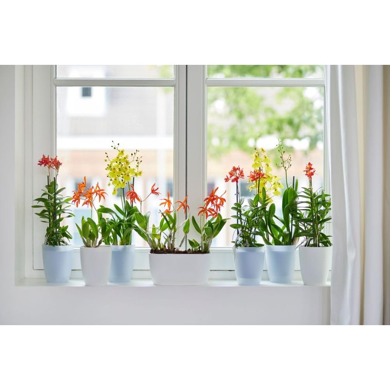 elho brussels orchid duo 25cm flowerpot - white