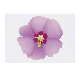'Hibiscus Flower' Temporary Tattoo - Water Resistant, Skin-Safe, Non-Toxic Transfer (TO00030291)