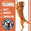 Bully Boy's Famous Beef Training Nibs Dog Treats | Free