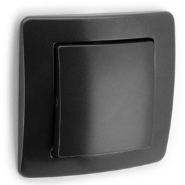 ENGINEER change switch anthracite, 250V 10A, UP
