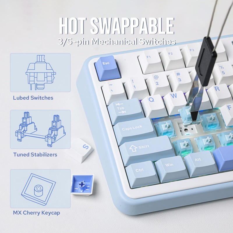 EPOMAKER TH99 Tri-Mode Wireless Mechanical Keyboard with 8000mAh Battery, Hot