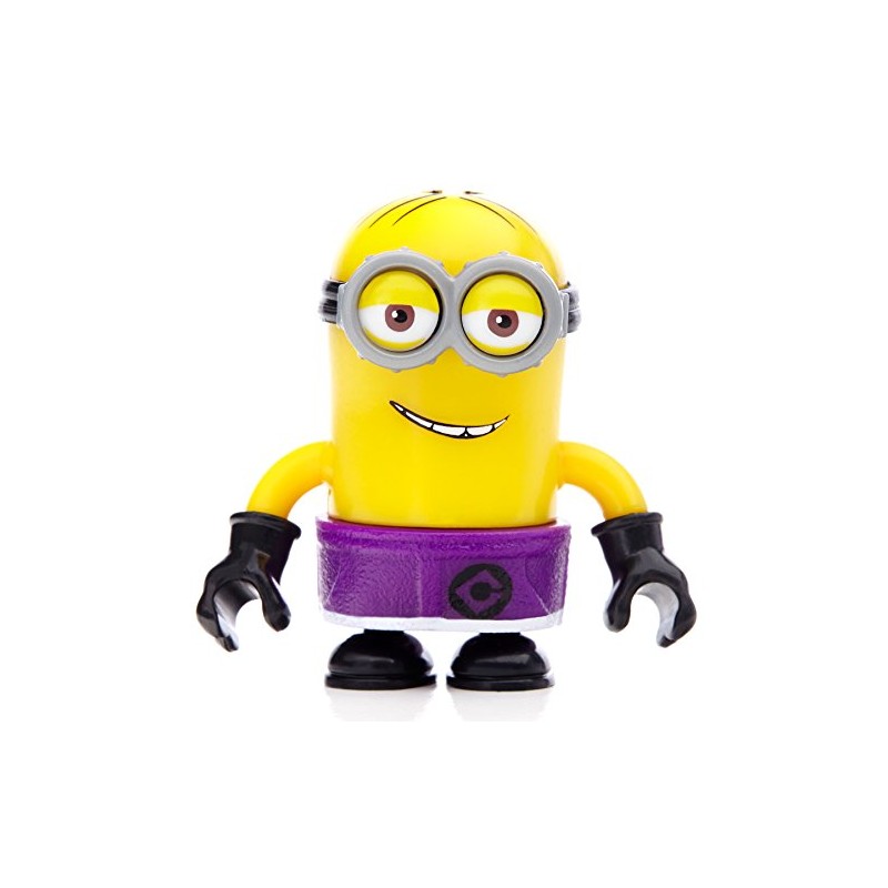 Mega Bloks Despicable Me Beach Party Set