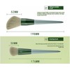 Professional Elli beauty Makeup Brush Set with Green Case, cosmetic
