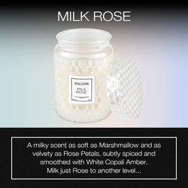 Voluspa Milk Rose, Large Candle Jar, 18 Ounce, 100 Hour Burn Time, All Natural Wicks and Coconut Wax for Clean Burning, Vegan, Poured in The USA