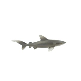 Unbranded Toy Shark, Oceanic Whitetip Rubber Realistic Figure Model Gift 3" CH528 BB158