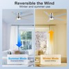 POCHFAN 60 Inch Brushed Nickel Ceiling Fans with Lights and