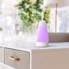 Pure Enrichment® PureSpa™ Essential Oil Diffuser - Compact Ultrasonic Aromatherapy