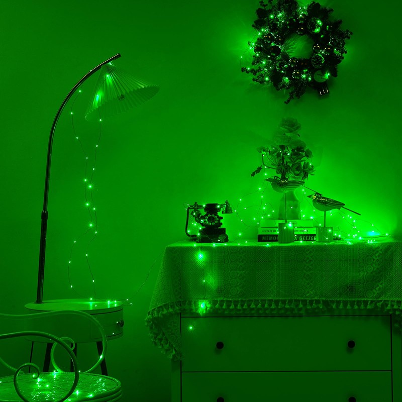Ariceleo 1 Pack 16.4ft Battery Operated String Lights with Timer,