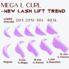 Eyelash Lift and Eyebrow Lamination 2 in 1 Kit Easy
