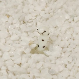 Castle Enterprise Pretty Glassware Petite Series Chin Eel