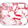 Peppermint Red & White Gourmet Salt Water Taffy 1 Pound Bag