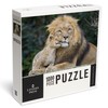 Lantern Press 1000 Piece Jigsaw Puzzle, Lion and Cub Cuddle