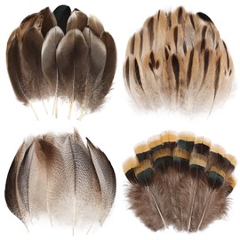 THARAHT 120pcs Natural Feathers Small 4 Styles Bulk for DIY Crafts Hat Wedding Home Party Decoration Feathers