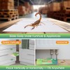 10 Pack Scorpion Glue Traps, Non Toxic Scorpion Killer for