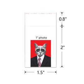 1.5" x 2" Clear Self Adhesive Cellophane Bags 300pcs Small Self Stick Cello Pouches 2mil Tiny Tape OPP Poly Glassine Baggies for Photos Beads Seeds