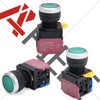 APIELE 22mm Momentary Push Button Switch Metal Head Plastic Body