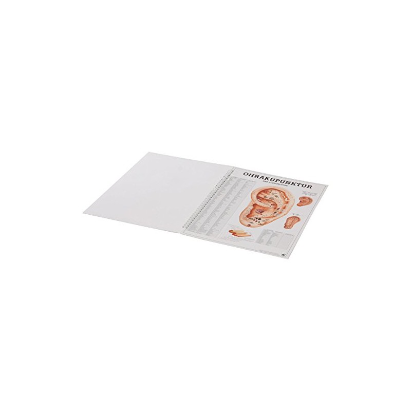 Acupuncture of Man Mini Poster Booklet Anatomy 34 x 24