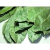 Graviola Soursop Leaves - 100 Leaves