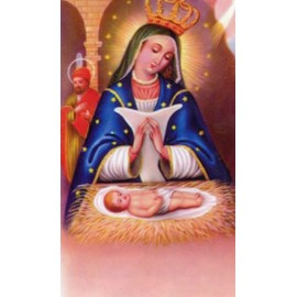 St. Jude Store Oracion a Nuestra Senora de la Altagracia N - Laminated holy card - Pack of 25