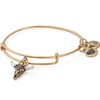 Alex and Ani Spirited Skull Bangle Bracelet, Rafealian Gold, Expandable