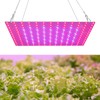 LED Grow Light Red Blue Full Spectrum 81 LEDs Grow