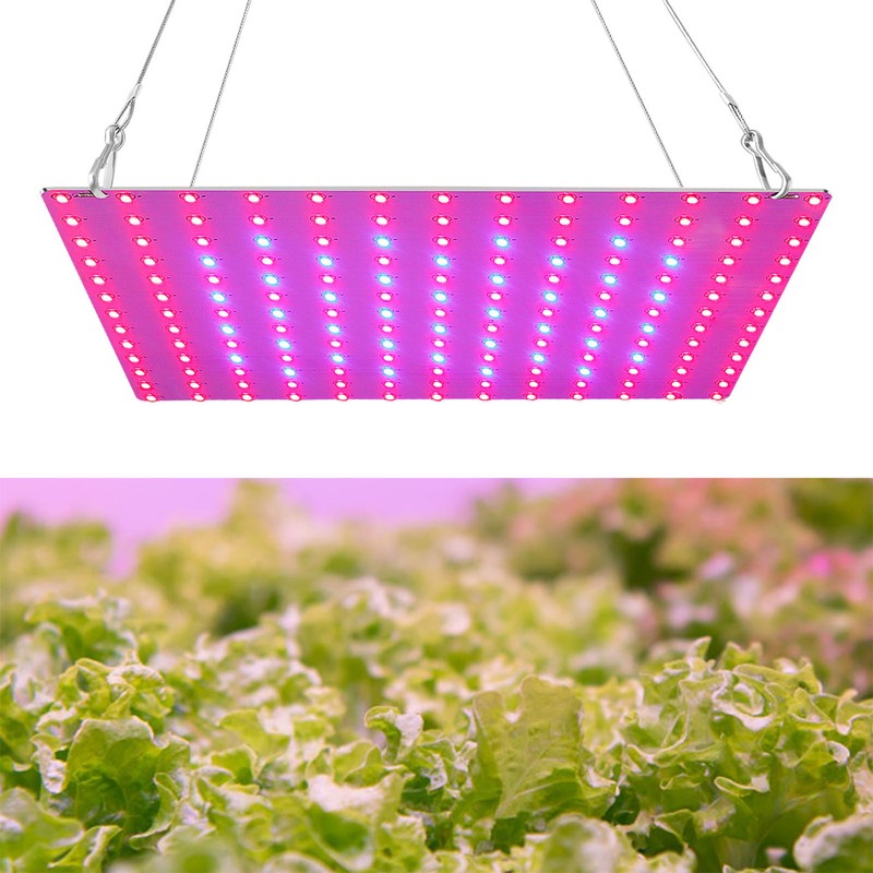 LED Grow Light Red Blue Full Spectrum 81 LEDs Grow